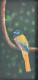 Malabar Trogon (ART-1022-100107) - Handpainted Art Painting - 12 in X 24in