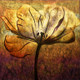 flower,Floral,Colorful flowers,petal,beauty of floral,bloom or blossom