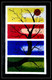 Tree,Nature,Multicolor tree,Multipiece tree