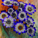 Flower,Floral,Colorful flowers,petal,beauty of floral,bloom ,blossom