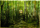 Iringol Kaavu Temple-Kerala (ART-15198-100794) - Handpainted Art Painting - 15in X 11in