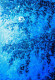 Moon And Trees In Blue Night (ART-15198-100789) - Handpainted Art Painting - 11 in X 16in