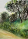 Trees On A Pathway (ART-8841-100948) - Handpainted Art Painting - 8 in X 11in