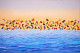 Group Dance (PRT-767-101113) - Canvas Art Print - 36in X 24in
