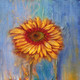 Flower,Floral,Colorful flowers,petal,beauty of floral,bloom ,blossom