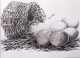 Still Life - Egg Busket (PRT-776-101236) - Canvas Art Print - 18in X 13in