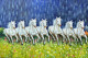 7 Running Horses (ART-1522-101281) - Handpainted Art Painting - 36 in X 24in