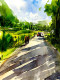 Beauty Of Village Path (ART-8987-101689) - Handpainted Art Painting - 8 in X 11in
