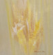 Minimal Diaries: Page 2 (ART-5820-101749) - Handpainted Art Painting - 8 in X 9in