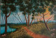 Sunlight Forest (ART-8067-101958) - Handpainted Art Painting - 52in X 36in