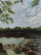 Water Lilies (ART-15524-102084) - Handpainted Art Painting - 12in X 16in