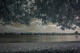 Ukrainian Landscape (PRT-15544-102430) - Canvas Art Print - 42in X 28in