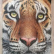 Tiger Painting (ART-15624-102536) - Handpainted Art Painting - 36in X 48in