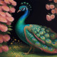 Peacock19 (PRT-9087-103586) - Canvas Art Print - 24in X 24in