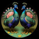 Peacock45 (PRT-9087-103613) - Canvas Art Print - 24in X 24in