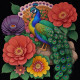 Peacock145 (PRT-9087-103798) - Canvas Art Print - 24in X 24in