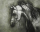 Achiever - 40in X 30in,FIZ027HRS_4030,Black, Dark Shades,100X75,Animals,Horse,Winner horses,rider, Art Canvas Painting