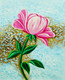 Pink Flower (FR_1523_23823) - Framed Handmade Painting - 24in X 20in