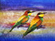 Birds,Beautiful Small Bird,Colorful Bird,Flying