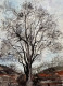 A Lonely Tree (ART-8841-103970) - Handpainted Art Painting - 10in X 14in