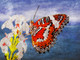 Butterflies, insects,Beauty of butterfly,Colorful Butterfly