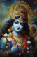 Krishna 1 (PRT-7809-104468) - Canvas Art Print - 8in X 12in