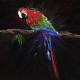 Vivid Perch: A Parrot's Palette | Bird Painting (ART-3053-104459) - Handpainted Art Painting - 24in X 24in