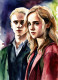 Harry Potter 7 (PRT-8991-104621) - Canvas Art Print - 43in X 60in