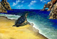Turtle On The Beach (ART-8271-104581) - Handpainted Art Painting - 12in X 9in