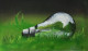 Daylight Delight (ART-8071-105077) - Handpainted Art Painting - 14in X 10in