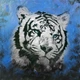 Wild Life,Tiger,wild animal
