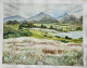 Feathery Field (ART-7993-105733) - Handpainted Art Painting - 20in X 16in