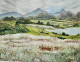 Feathery Filed (ART-7993-105734) - Handpainted Art Painting - 20in X 16in