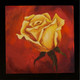 Flower,Floral,Rose,Yellow Rose flower