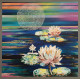 Water Lily (ART-7431-106189) - Handpainted Art Painting - 28in X 28in