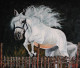 Jumping Horse (ART-8067-106246) - Handpainted Art Painting - 20in X 16in