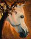 Handsome Horse (PRT-8067-106467) - Canvas Art Print - 48in X 60in