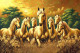 Freedom In The Fields (PRT-15697-106665) - Canvas Art Print - 60in X 40in
