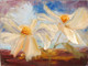 Flower,Floral,playing Flower,Colorful flowers,petal,beauty of floral,bloom ,blossom