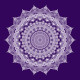 Ashtadasha Pushpa (अष्टादश पुष्प) Mandala Art - Purple (PRT-16330-107212) - Canvas Art Print - 24in X 24in