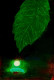 Dew In The Night (PRT-16419-107177) - Canvas Art Print - 40in X 60in