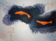 Golden Fishes (ART-16460-107430) - Handpainted Art Painting - 11in X 8in