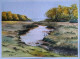 Village Pond (ART-7373-107445) - Handpainted Art Painting - 13in X 10in