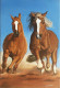 Two Houses Running (ART-16505-107671) - Handpainted Art Painting - 16in X 24in