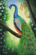 Peacock In Forest (ART-976-107806) - Handpainted Art Painting - 24in X 36in