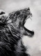 Mono (ART-7786-107729) - Handpainted Art Painting - 18in X 24in