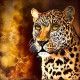 Untamed Elegance (Golden Hour Series 04) (ART-8271-107841) - Handpainted Art Painting - 12in X 12in