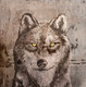 Wild Life,Wolf,Animal