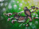 Winter Birds (ART-16506-107906) - Handpainted Art Painting - 16in X 12in