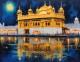 Golden Temple Painting In Night View (ART-3319-108225) - Handpainted Art Painting - 40in X 36in